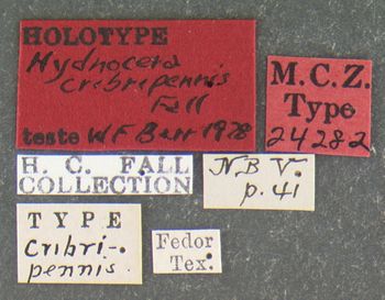 Media type: image;   Entomology 24282 Aspect: labels